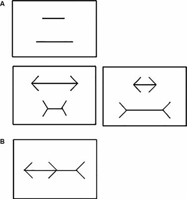 The Perception of the Müller-Lyer Visual Illusion in Schizophrenics and Non-human Primates: A Translational Approach
